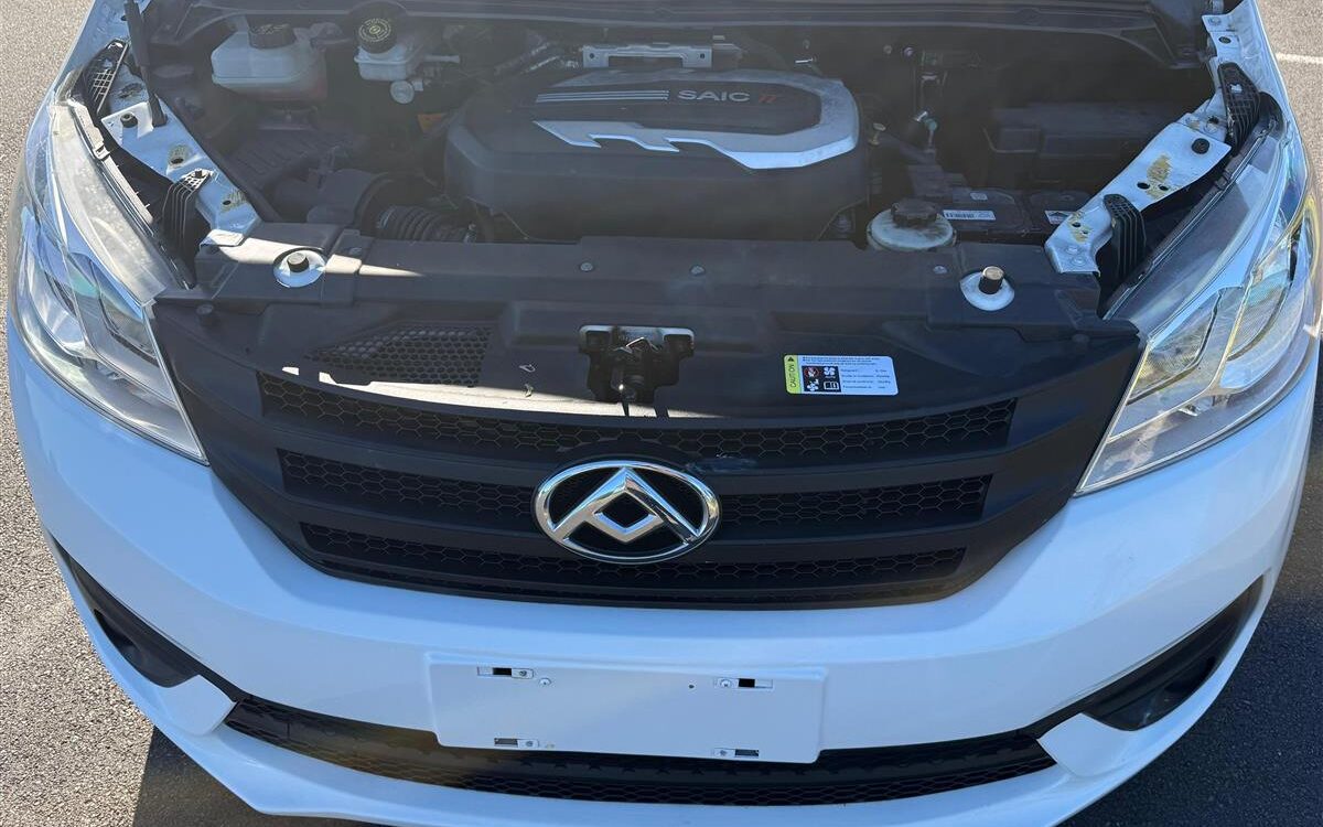 2023 LDV G10 CARGO VAN LOW KMS Van Automatic