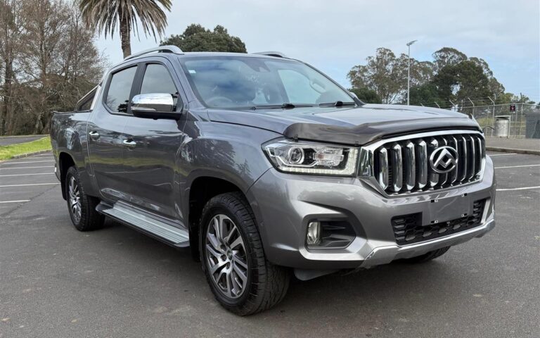 2021 LDV T60 Ute Automatic