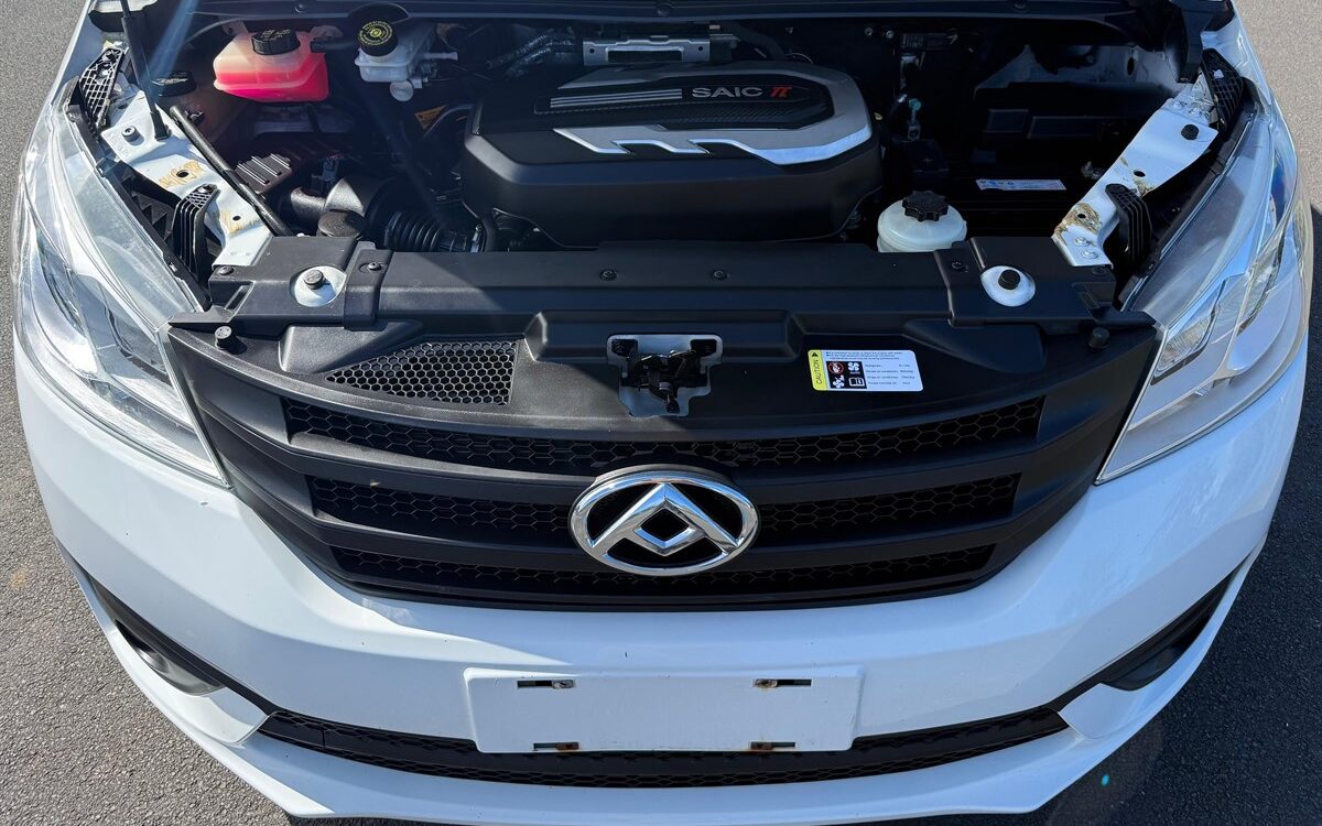 2022 LDV G10 Van Automatic