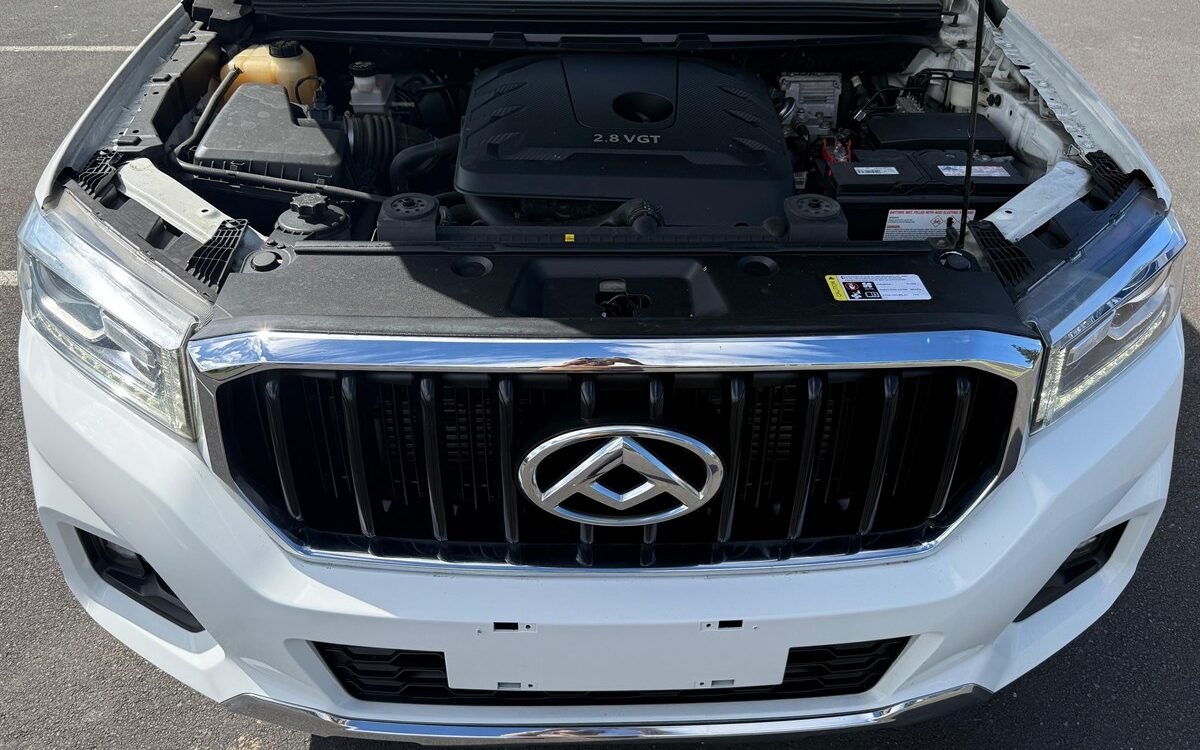 2020 LDV T60 Ute Automatic