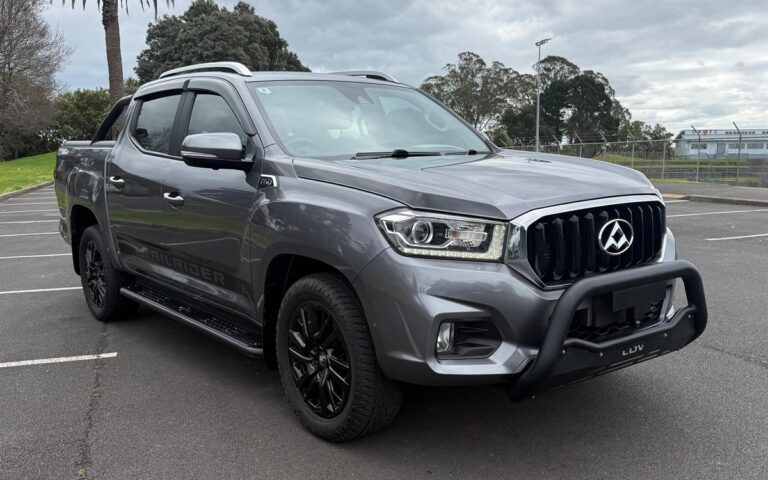 2019 LDV T60 Ute Automatic
