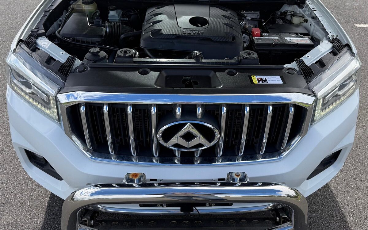 2018 LDV T60 LUXE (4X4) SK8C Ute Automatic